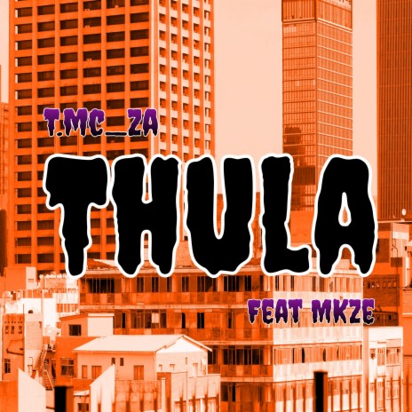 Thula ft. Tmcza & Mkze
