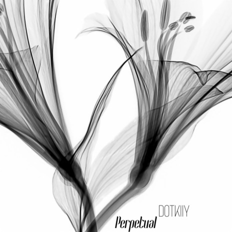 Perpetual | Boomplay Music