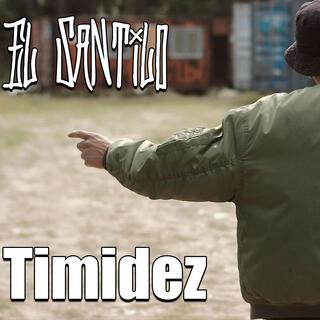 Timidez