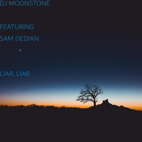 Liar, Liar (feat. Sam Dedian) | Boomplay Music