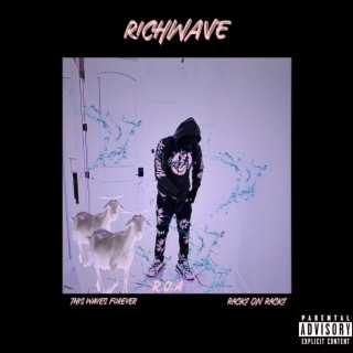 Richwave Negro