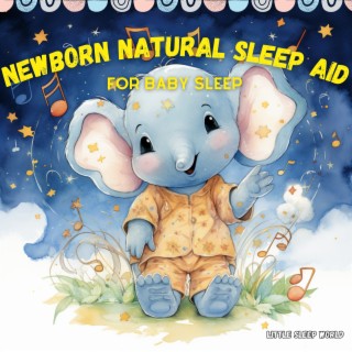 Newborn Natural Sleep Aid for Baby Sleep