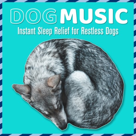 Sleepy Eyes ft. Relaxmydog & Dog Music Zone | Boomplay Music