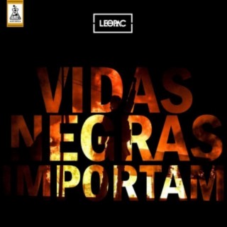 VIDAS NEGRAS IMPORTAM