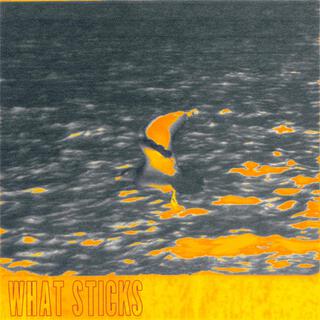 what sticks lyrics | Boomplay Music