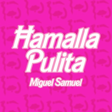 Ħamalla Pulita