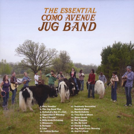 The Jug Band Way | Boomplay Music