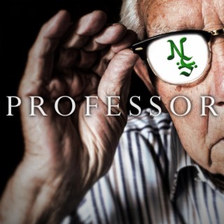 Professor