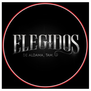 Grupo Elegidos De Aldama Tam.