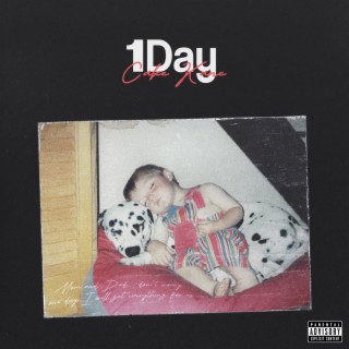 1Day