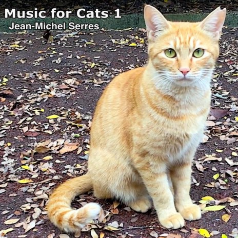 Calm Car Life 09 A Cat & A Boy | Boomplay Music