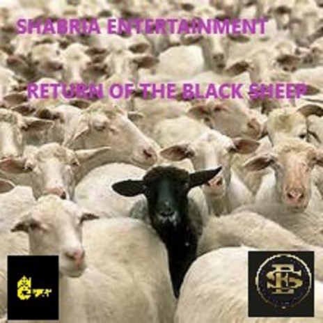 Return of the Black Sheep | Boomplay Music