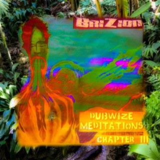 Dubwize Meditations Chapter 3