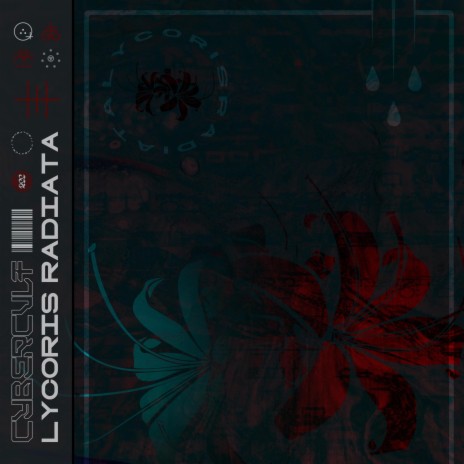 LYCORIS RADIATA | Boomplay Music