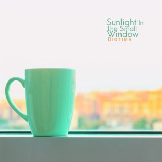 Sunlight in the Small Window