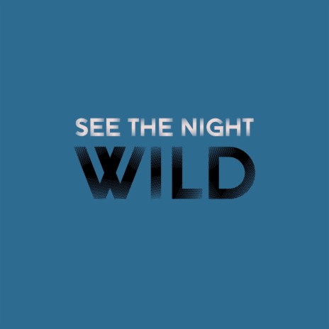 See the Night | Boomplay Music