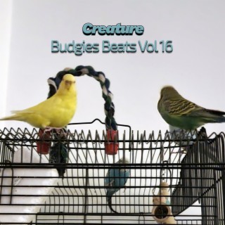 Budgies Beats, Vol. 16