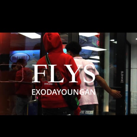 Flys | Boomplay Music
