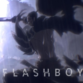 Flashboy