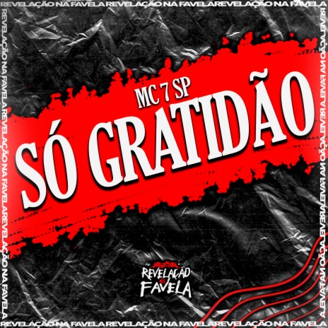 Só Gratidão | Boomplay Music