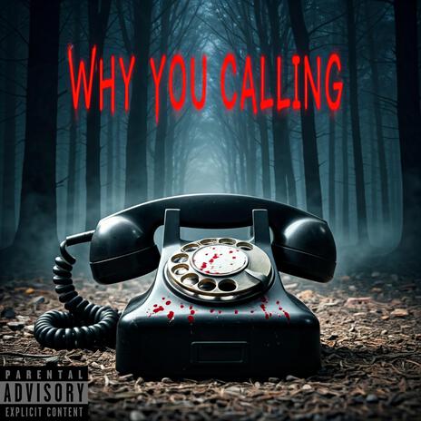 Why You Calling | Boomplay Music