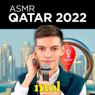 ASMR Qatar 2022 Grupos Del Mundial con Voz Relajante