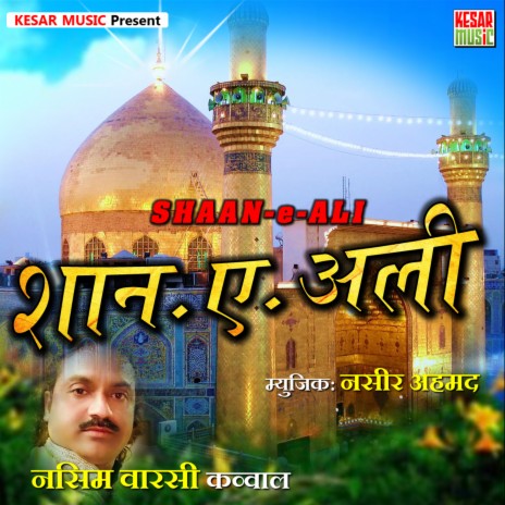 Shaan E Ali | Boomplay Music