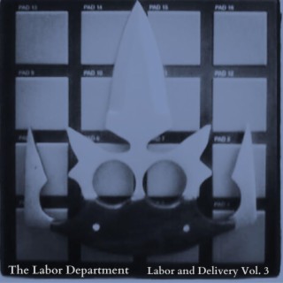 Labor and Delivery, Vol. 3