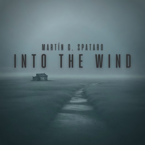 Into the Wind | Boomplay Music