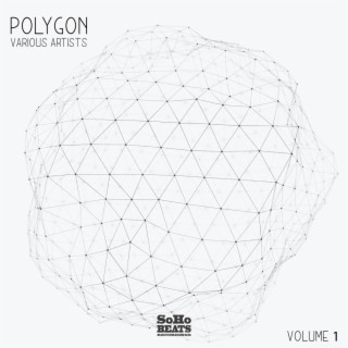 Polygon, Vol. 1