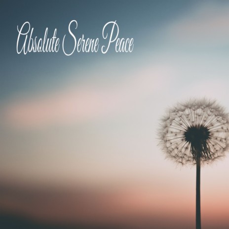 Embrace Of Peace And Tranquility ft. Musica relajante dormir & Dulces Sueños | Boomplay Music
