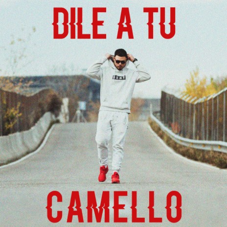 Dile a Tu Camello | Boomplay Music