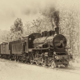 The Late Train