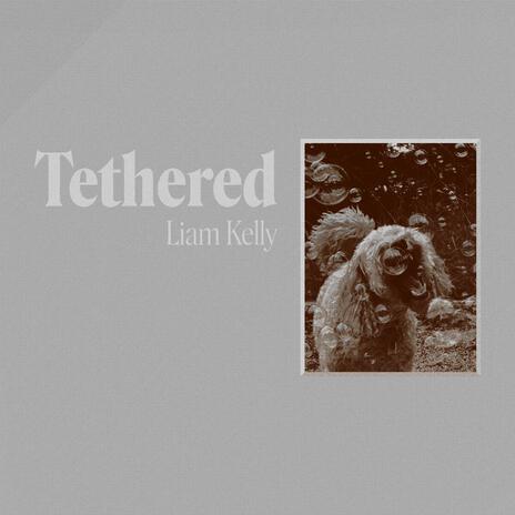 Tethered | Boomplay Music