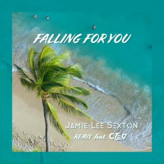 Falling For You (Remix) ft. C-Tea lyrics | Boomplay Music