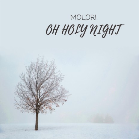 Oh Holy Night | Boomplay Music