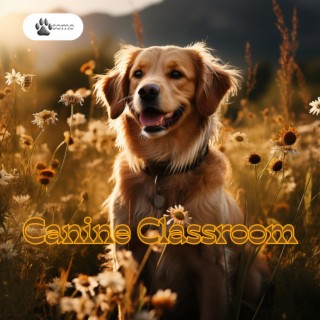 Canine Classroom: Enhancing Learning with Music