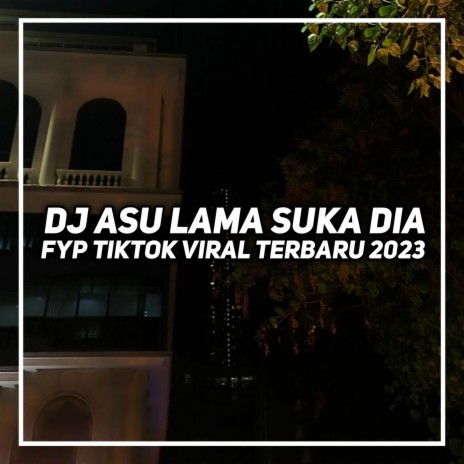 Dj Asu Lama Suka Dia Slow | Boomplay Music