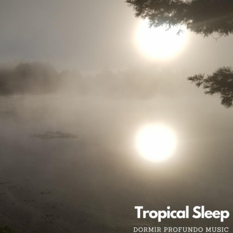 Tropical Sleep | Boomplay Music