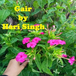 Hari Singh