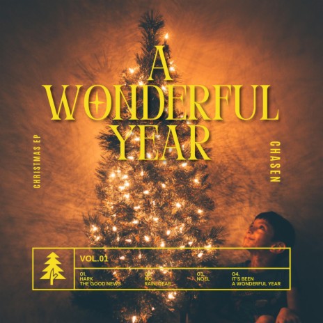 A Wonderful Year | Boomplay Music