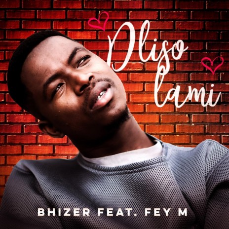 Dliso Lami (feat. Fey M) | Boomplay Music