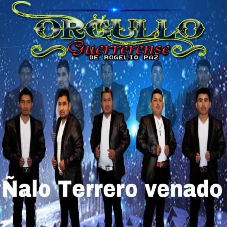 Ñalo Terrero venado | Boomplay Music