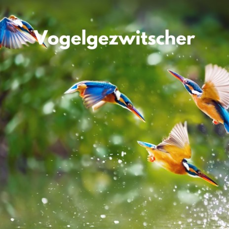 Spielende Vögel ft. Vogelstimmen Sammlung & Vogelgezwitscherbox | Boomplay Music