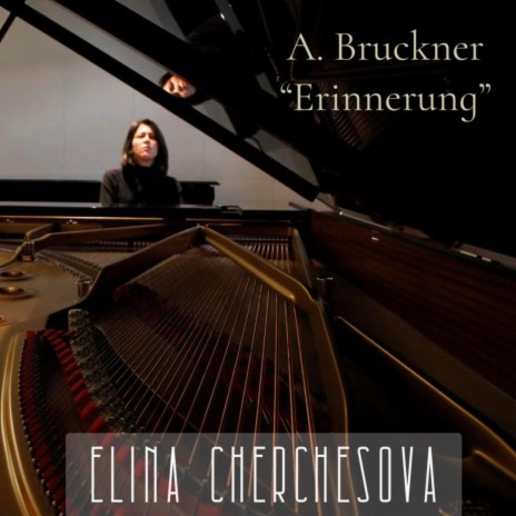 Anton Bruckner Erinnerung | Boomplay Music