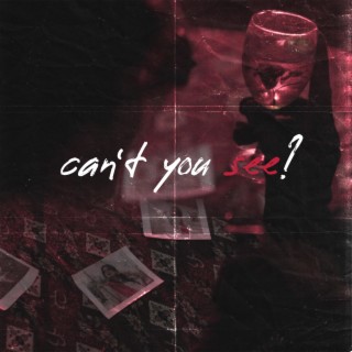 can't you see? ft. danish roomi & SAZGIR lyrics | Boomplay Music