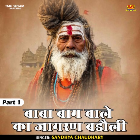 Baba Baag Vale Ka Jagran Badauli Part 1 (Hindi) | Boomplay Music