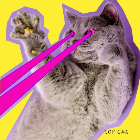 top cat | Boomplay Music