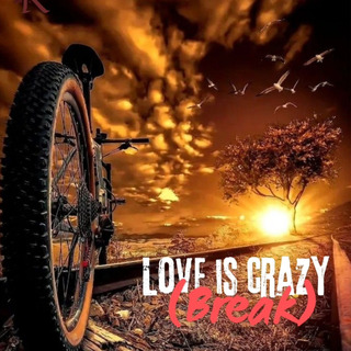 LOVE is CRAZY lyrics | Boomplay Music