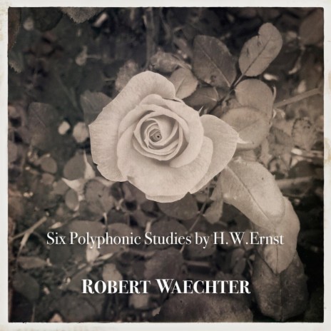 Six Polyphonic Studies: Study No. 6 (The Last Rose) : Finale | Boomplay Music